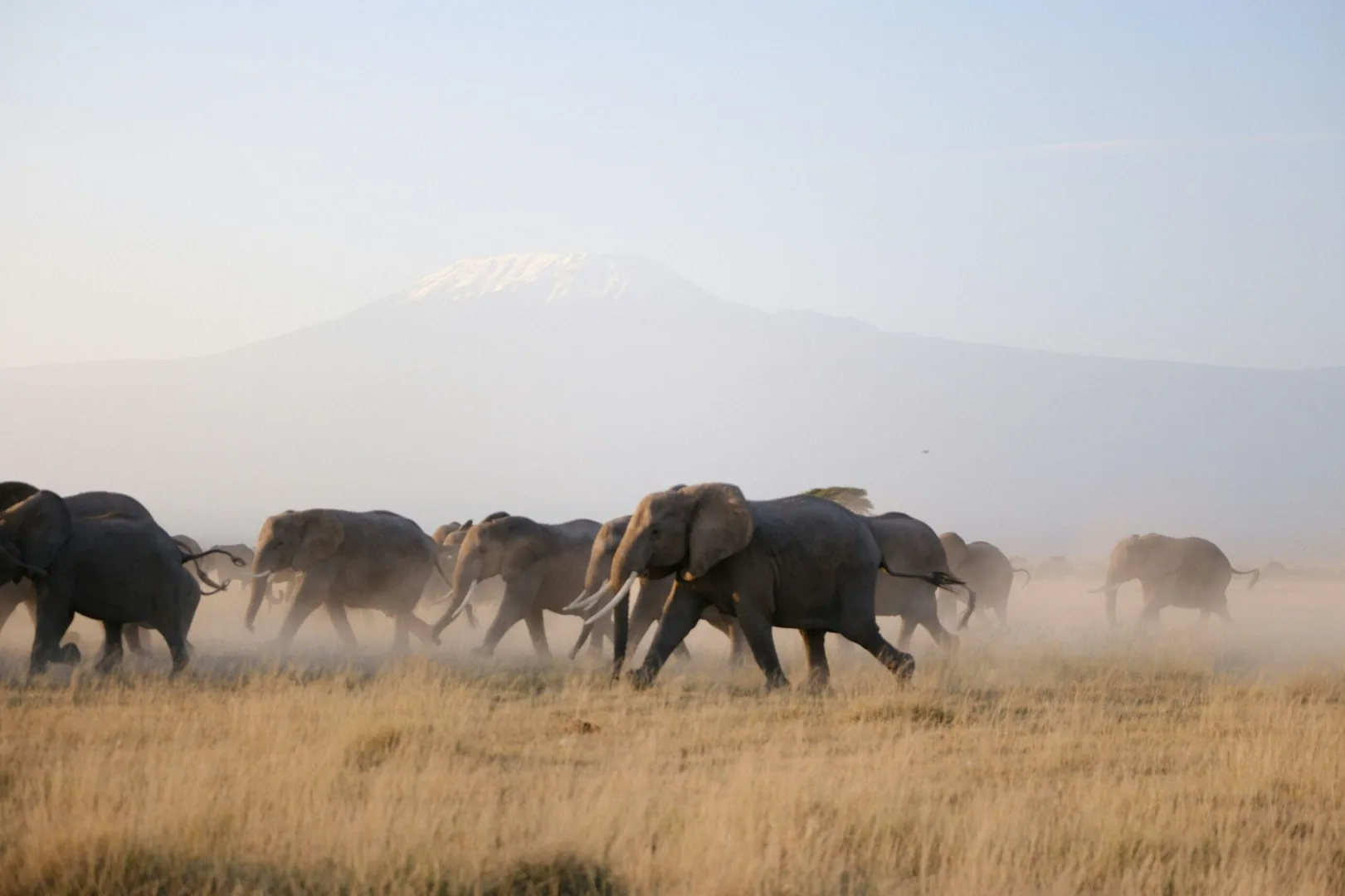 Kenya safari landscape 4