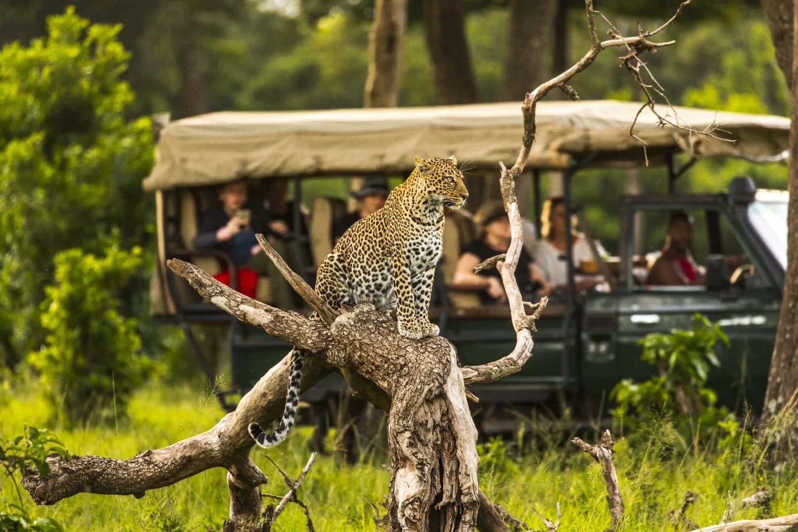Kenya safari landscape 2